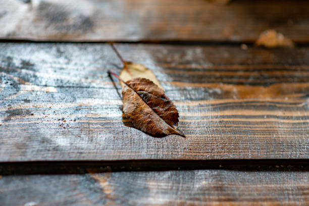 on the wooden table is a yellow sheet. Autumn in Russia