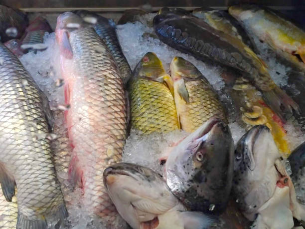 istock Various varieties of fish on the market. 1065890112