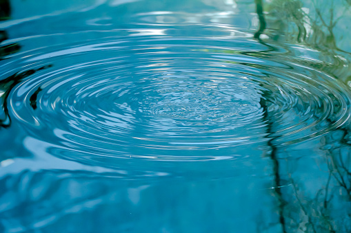 circular ripples in clear blue water with tree reflection