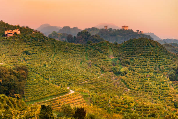 farra di soligo (tv) - puesta de sol y niebla en los viñedos de prosecco y credazzo torres - hill dusk sunset heat haze fotografías e imágenes de stock