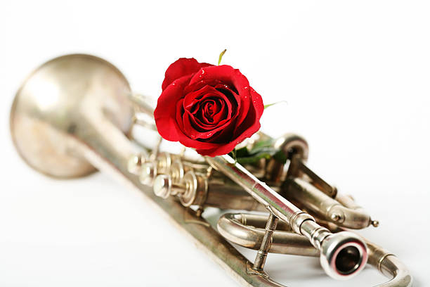 rote rose mit trompete - trumpet musical instrument music brass stock-fotos und bilder