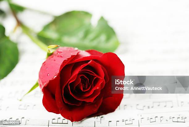 Rosas Rojas Sobre Un Papel Notas Foto de stock y más banco de imágenes de Amor - Sentimiento - Amor - Sentimiento, Arreglo floral, Celebración - Ocasión especial