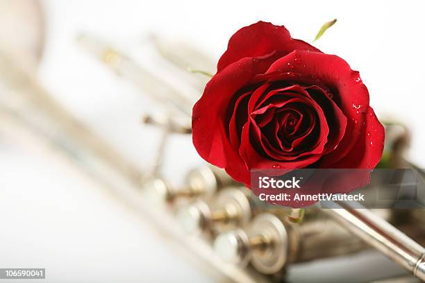 Красная Роза С Trumpet — стоковые фотографии и другие картинки Без людей - Без людей, Ветер, Горизонтальный