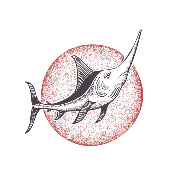 Atlantic Blue Marlin on the Background of the Sun. Illustration in Classic Ink Technique in Vector Format.