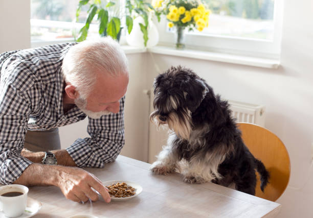 istock Senior man with dog on dining table 1065902200