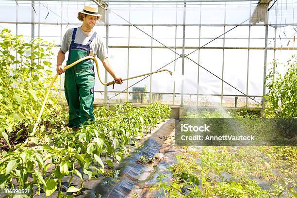 Foto de Feliz Agricultor Série e mais fotos de stock de Adulto - Adulto, Agricultor, Cabelo Humano