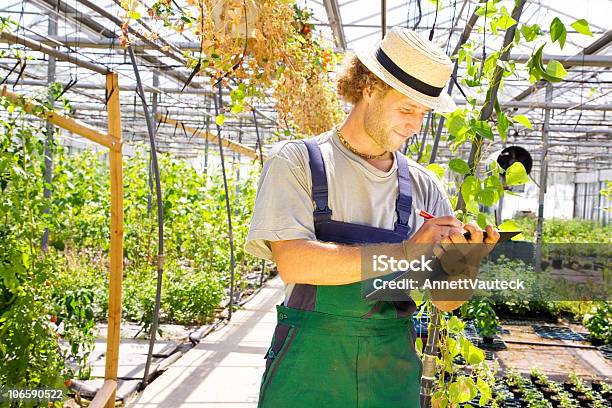 행복함 Farmer 시리즈 남자에 대한 스톡 사진 및 기타 이미지 - 남자, 녹색, 농부