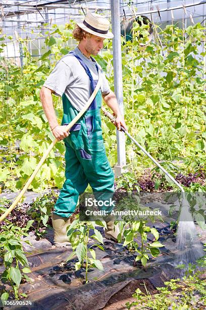 Foto de Feliz Agricultor Série e mais fotos de stock de Adulto - Adulto, Agricultor, Cabelo Humano