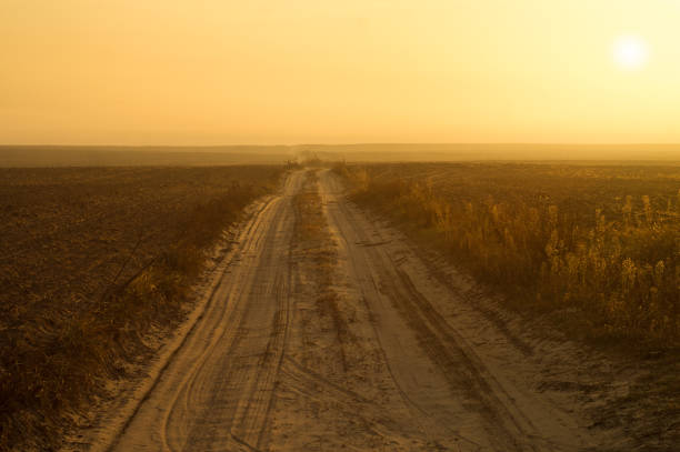 istock Dirt road along the field and yellow sky 1065906070