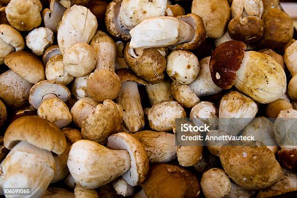 Boletus Edulis - Fotografias de stock e mais imagens de Alimentação Saudável - Alimentação Saudável, Cogumelo, Cogumelo Comestível