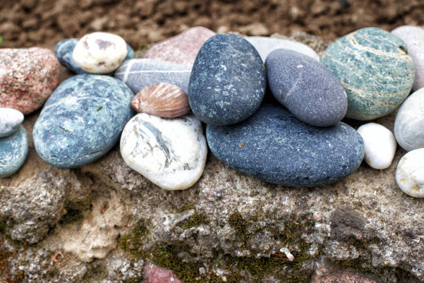 istock Background from sea stones for design. 1065911202