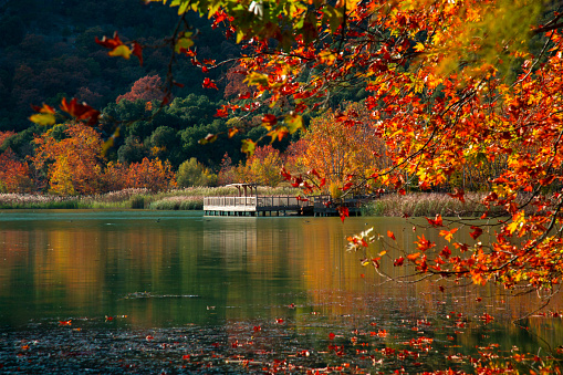 a lake and fishing pier during the fall season