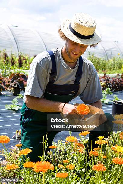 Szczęśliwy Gardner - zdjęcia stockowe i więcej obrazów Ciąć - Ciąć, Dorosły, Fotografika