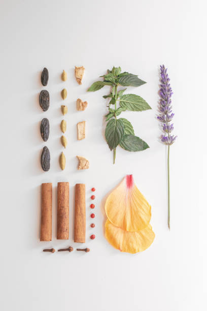 składniki herbaty ziołowej - plant color zdjęcia i obrazy z banku zdjęć