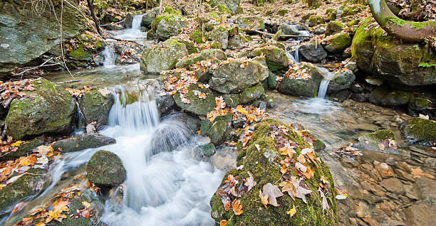 istock Autumn Understory on Monte Baldo 106594129