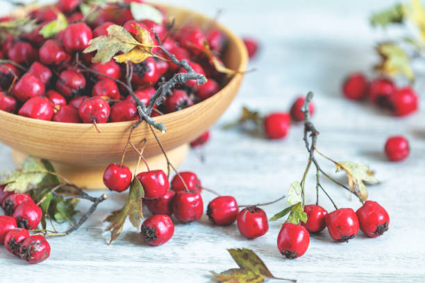 木製ライト テーブル背景にボウルに葉とサンザシの果実収穫の秋 - hawthorn berry fruit plant autumn ストックフォトと画像