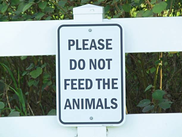 istock Please Do Not Feed the Animals sign 1065946236
