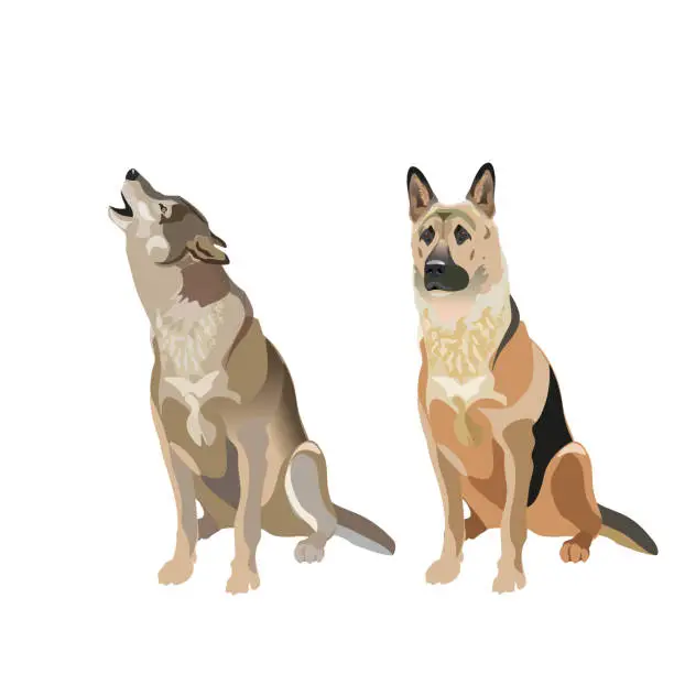 Vector illustration of Dog and wolf.