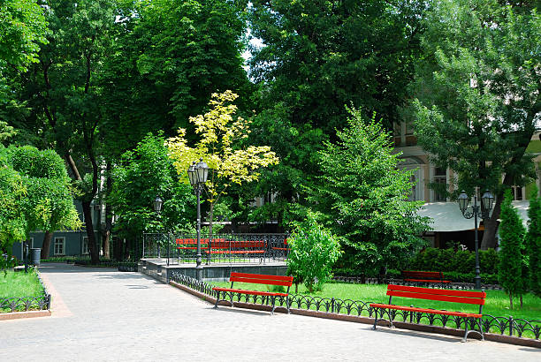 istock Summer day in city park 106595632
