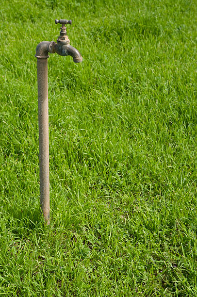 istock Garden Tap with Green Grass 106595670