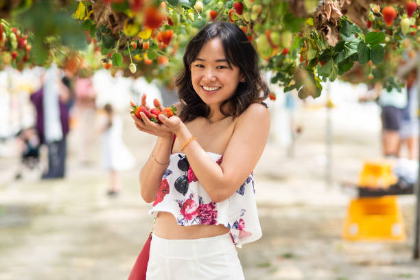 istock Young woman at a strawberry farm 1065960512
