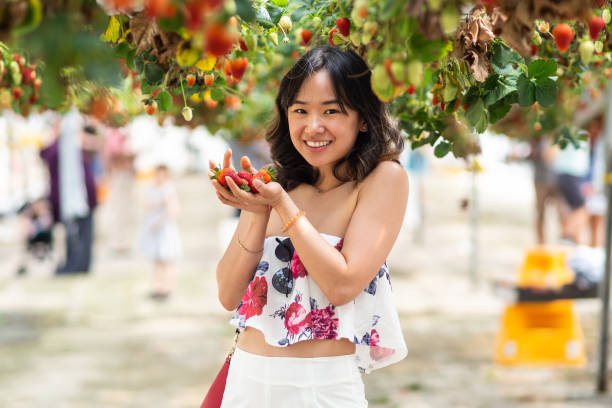 istock Young woman at a strawberry farm 1065960680