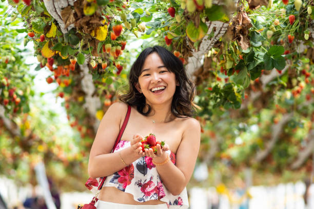 istock Young woman at a strawberry farm 1065960702