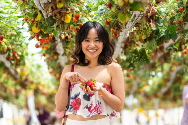 istock Young woman at a strawberry farm 1065960728