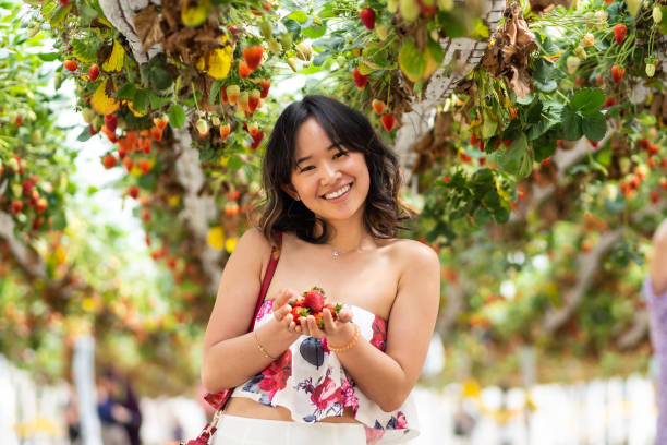 istock Young woman at a strawberry farm 1065960732