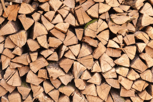istock Oak firewood stacked in a pile. 1065969034