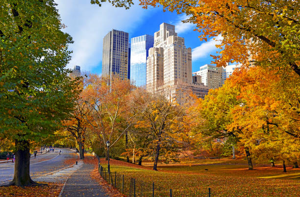istock Autumn foliage in Central Park, New York 1065969408