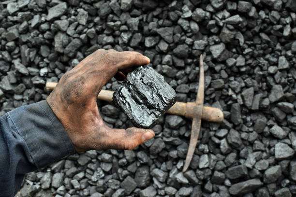 istock Hand of the miner shows coal in mine 1065971898