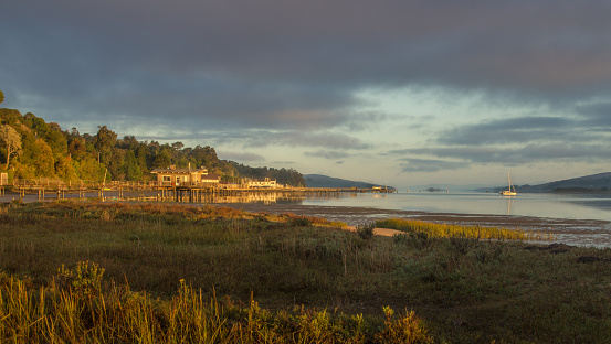 Sunset on the Tomalas Bay. Boats are on the water. Buildings and pier are out in the bay. The golden light is shining, Blue sky is showing through an opening in the sky. Plants are in the foreground.