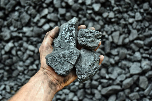 istock Hand of the miner shows coal in mine 1065974230