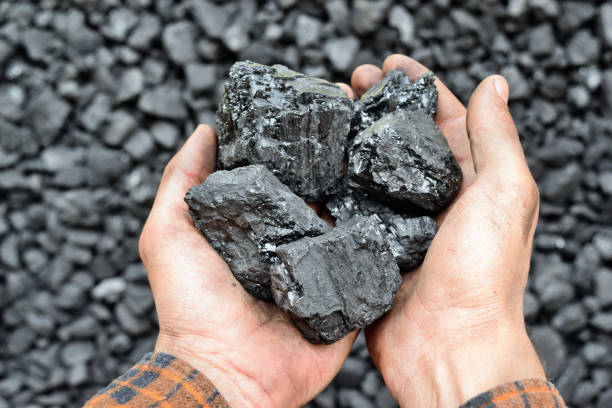 istock Coal in the hands of worker miner 1065974322