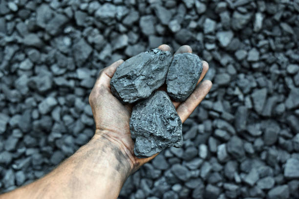 istock Hand of the miner shows coal in mine 1065974648