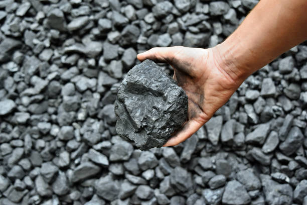 istock Hand of the miner shows coal in mine 1065976066