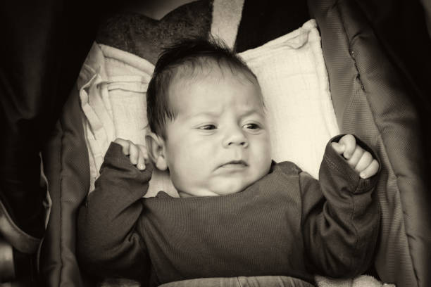 istock Newborn first goes for a walk in stroller 1065976420