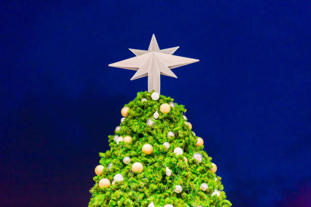 istock Star on top of Christmas tree 1065976886
