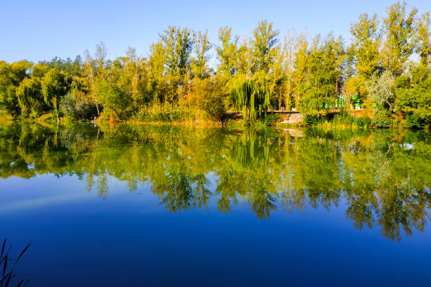 istock Yellow autumn trees with their reflection in water 1065978484