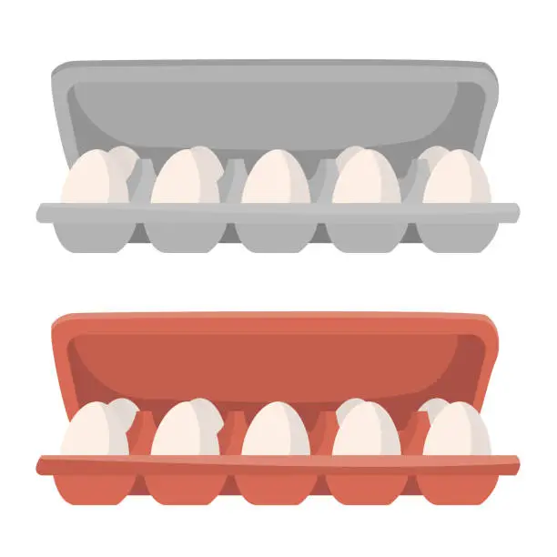 Vector illustration of box package with eggs