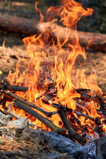 istock Burning fire. The bonfire burns in the forest. Texture of burning fire. Bonfire for cooking in the forest. Burning dry branches. Tourist fire in the forest. Eating on fire. Texture of burning branches 1065979430