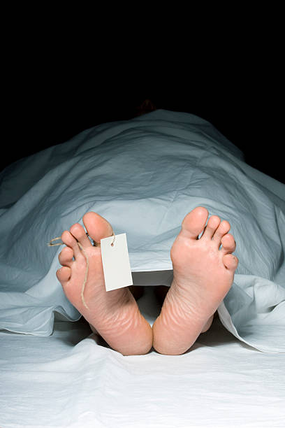 Death  morgue stock pictures, royalty-free photos & images