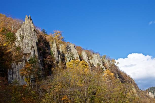 istock Hokkaido Japan Nature #000009 1065982544