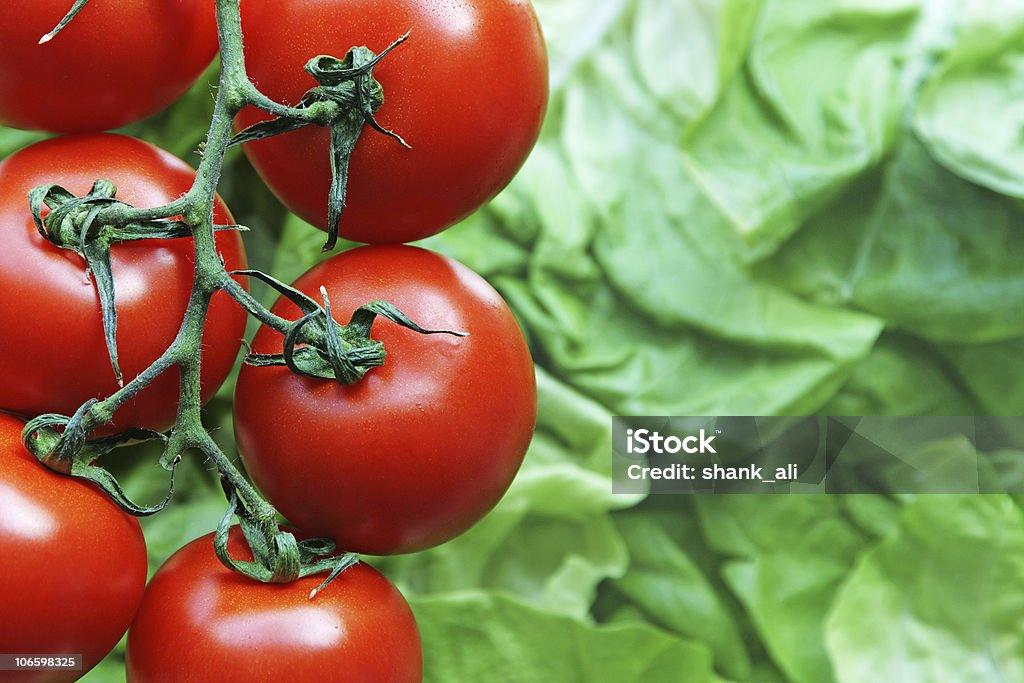 Tomaten - Lizenzfrei Farbbild Stock-Foto