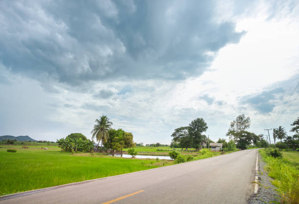 istock Country road with rice field in cloudy day 1065985288