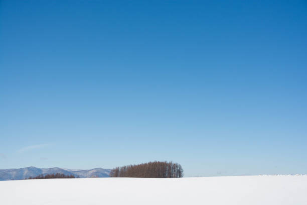 istock Snowy field and bule sky in Hokkaido 1065991118