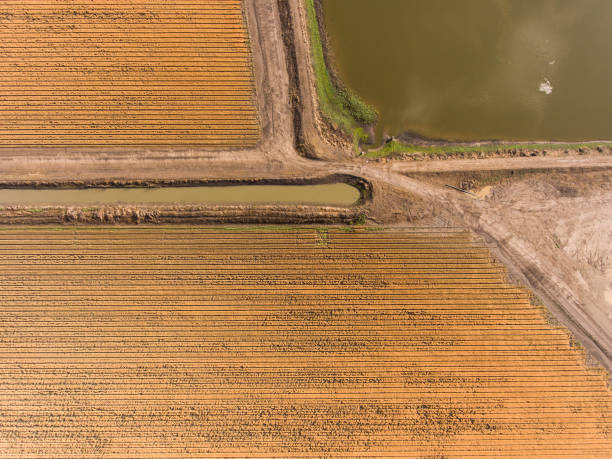 istock Ploughed Field, Plowed Field, 1066016916