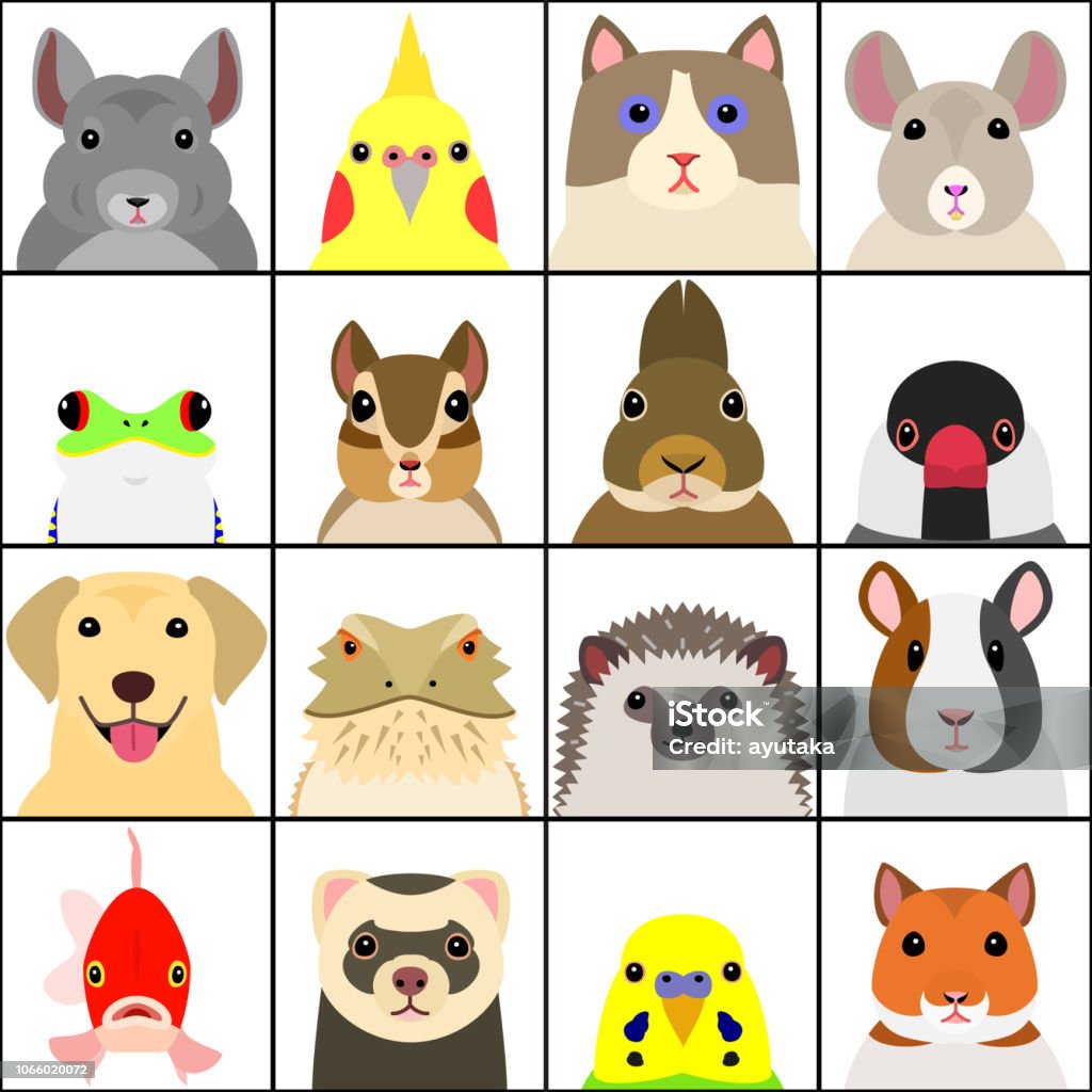 Set Of Various Pet Animals Face Stock Illustration - Download Image Now -  Front View, Animal Head, Pets - iStock