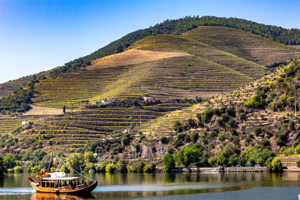 Boat tours on the Douro river, Douro valley, Porto, Portugal stock photo